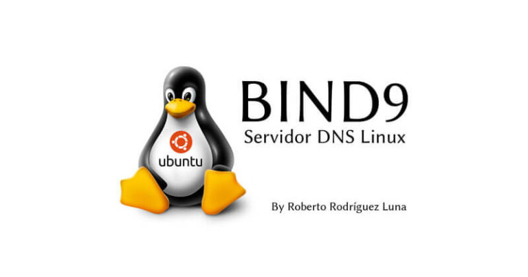 Servidor DNS Linux